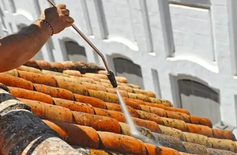 Nettoyage de toitures - Bois-de-Haye